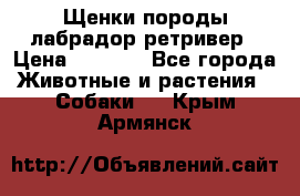 Щенки породы лабрадор ретривер › Цена ­ 8 000 - Все города Животные и растения » Собаки   . Крым,Армянск